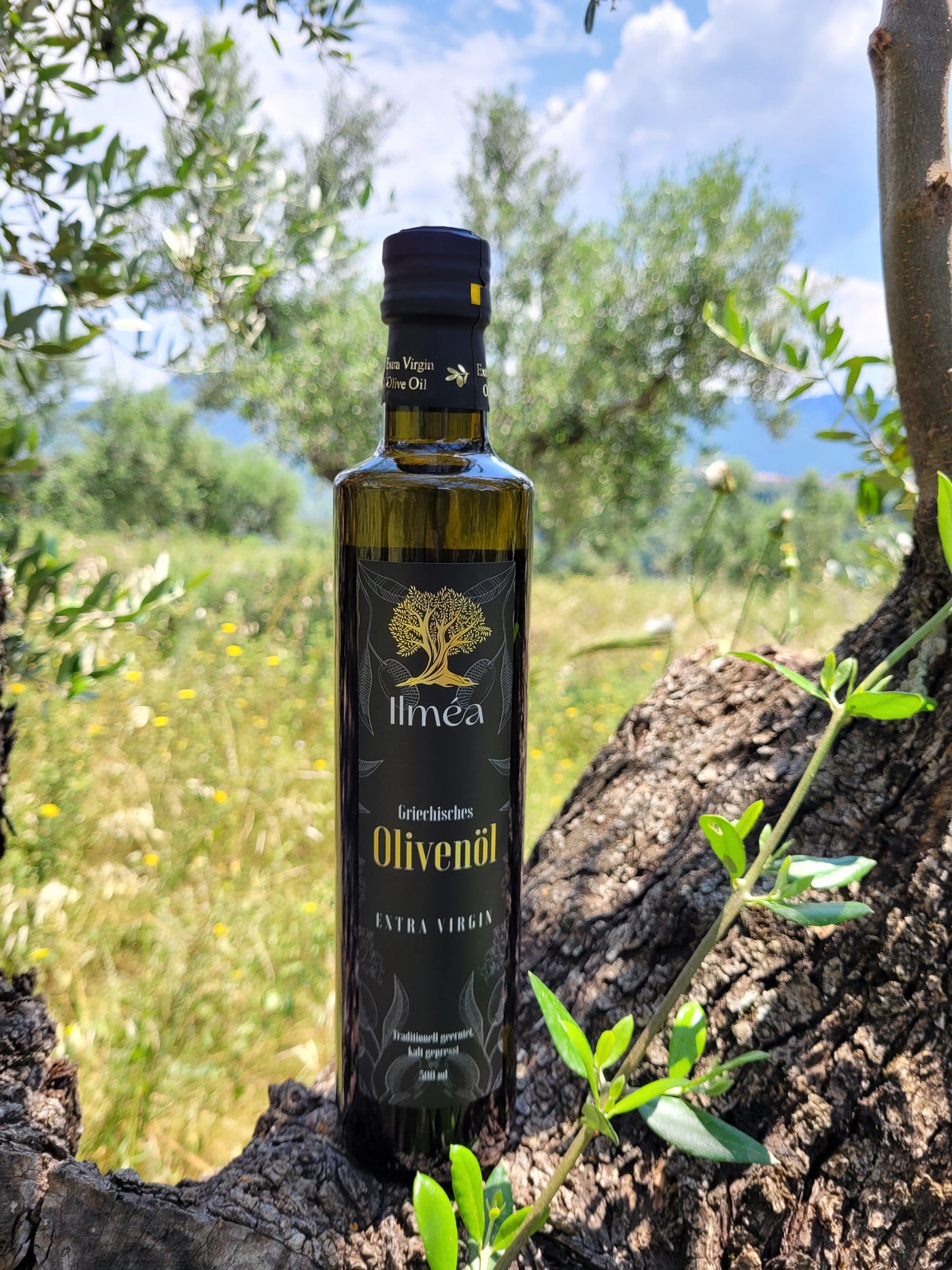 500ml Ilmea Olivenölflasche. Kalt gepresstes Olivenöl.